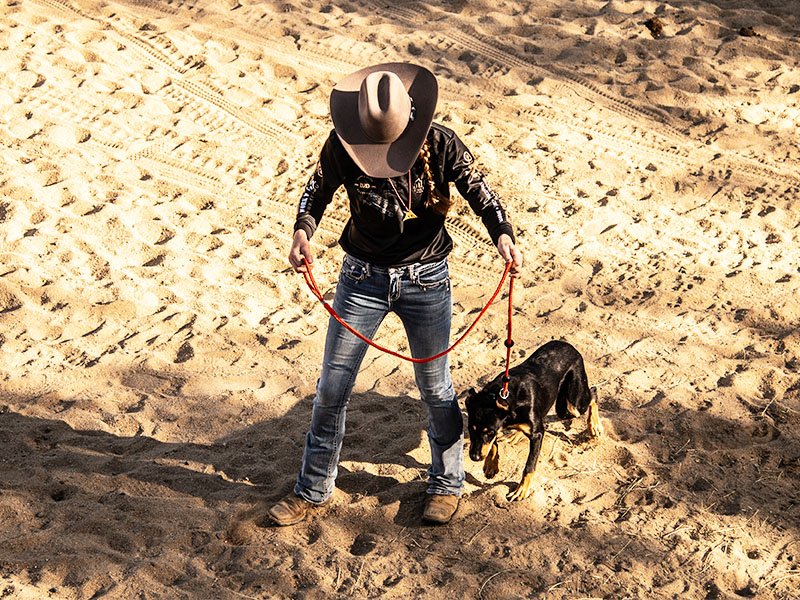 1 on 1 farm muster dog training Victoria, Australia